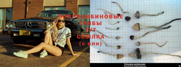спайс Киреевск